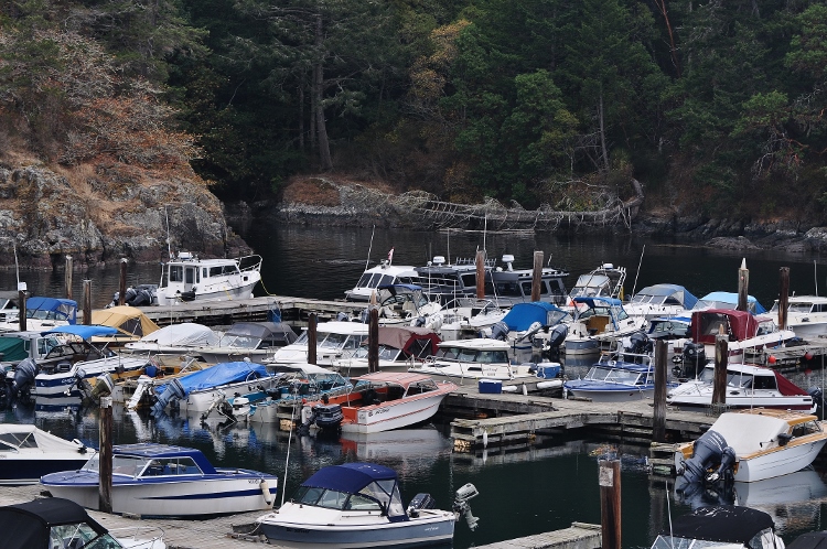 harbor